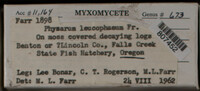 Image Associated With the Occurence